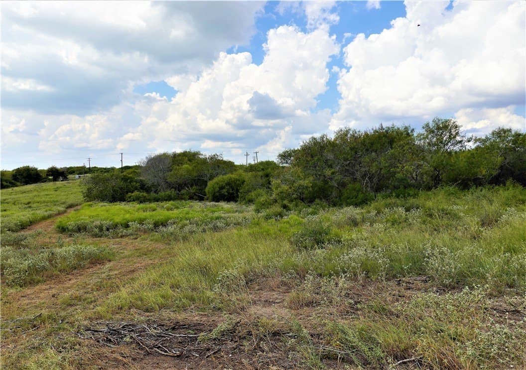 29.99 acres in San Patricio County - photo 19