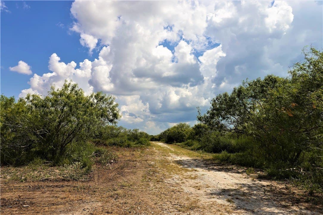 29.99 acres in San Patricio County - photo 14