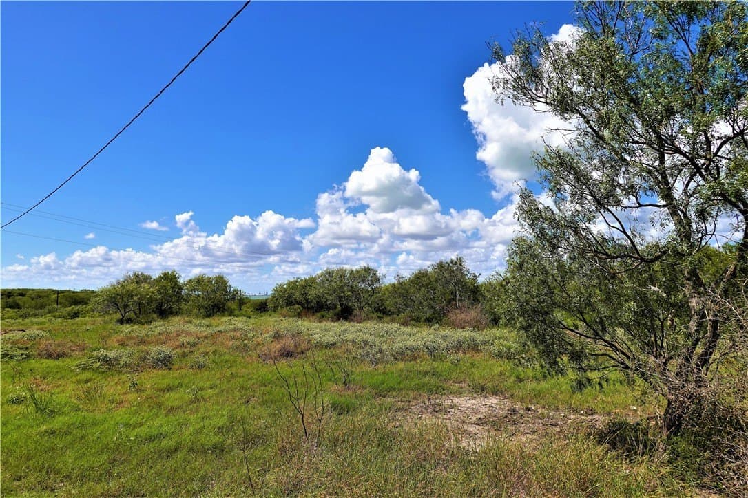 29.99 acres in San Patricio County - photo 9