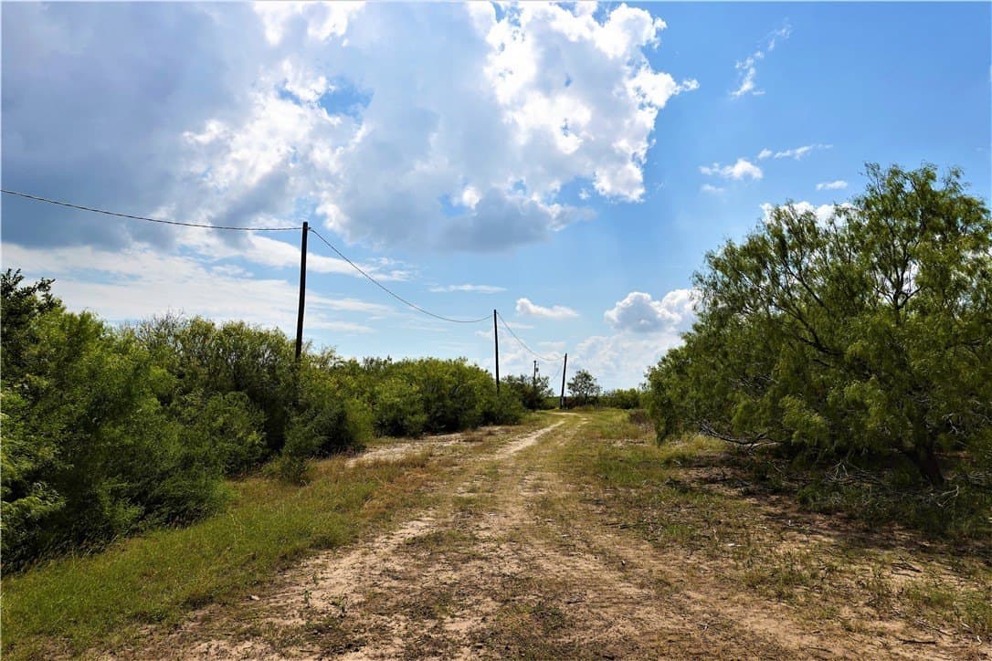 29.99 acres in San Patricio County - photo 15