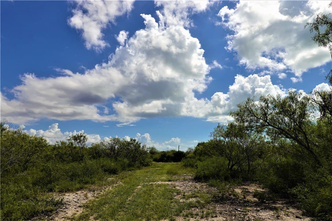 29.99 acres in San Patricio County - photo 21