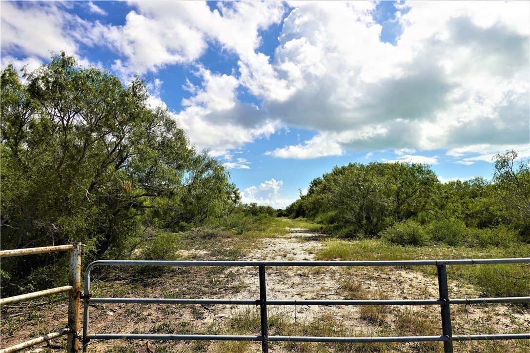 29.99 acres in San Patricio County - photo 20