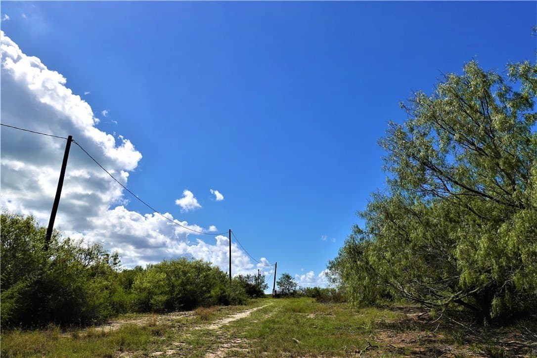 29.99 acres in San Patricio County - photo 24