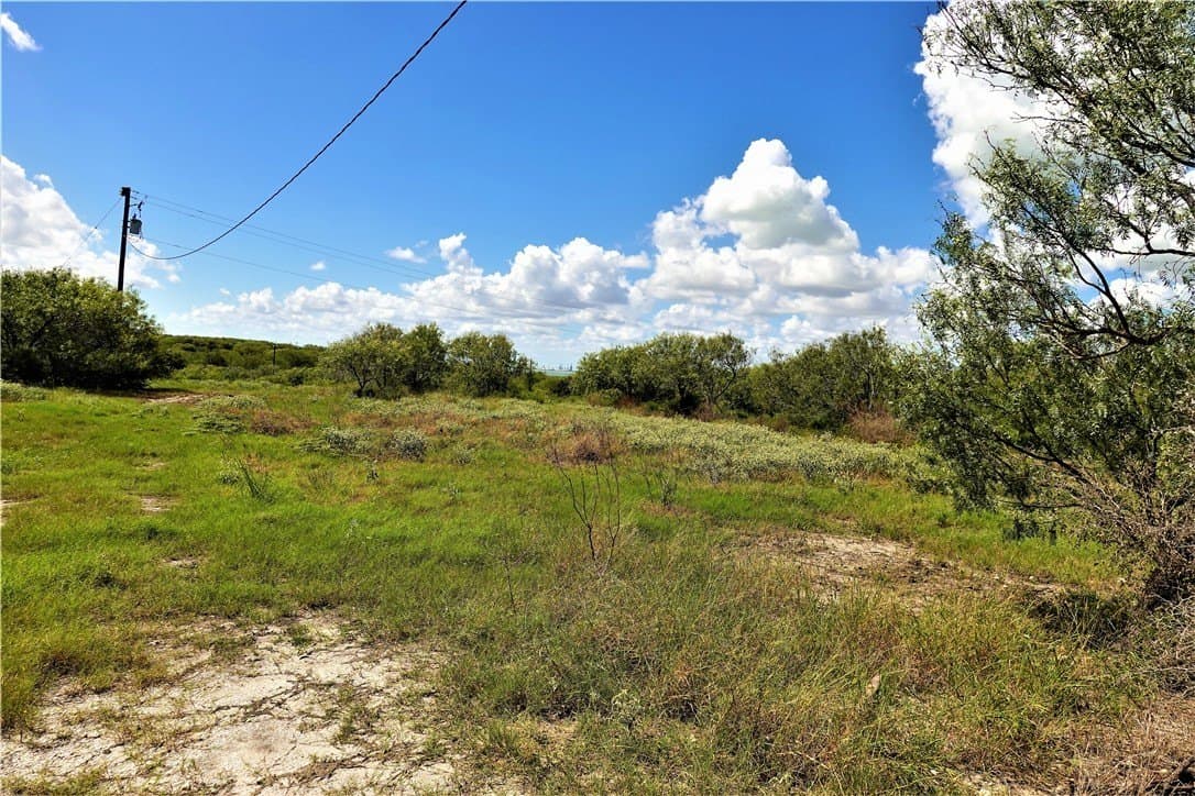 29.99 acres in San Patricio County - photo 13
