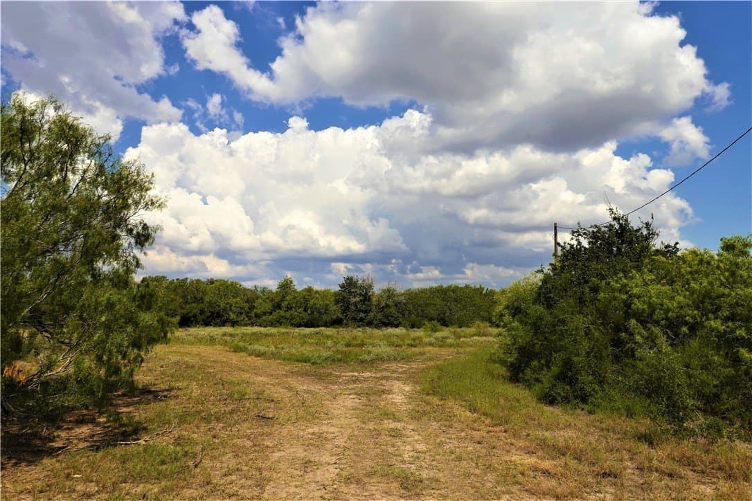 29.99 acres in San Patricio County - photo 16