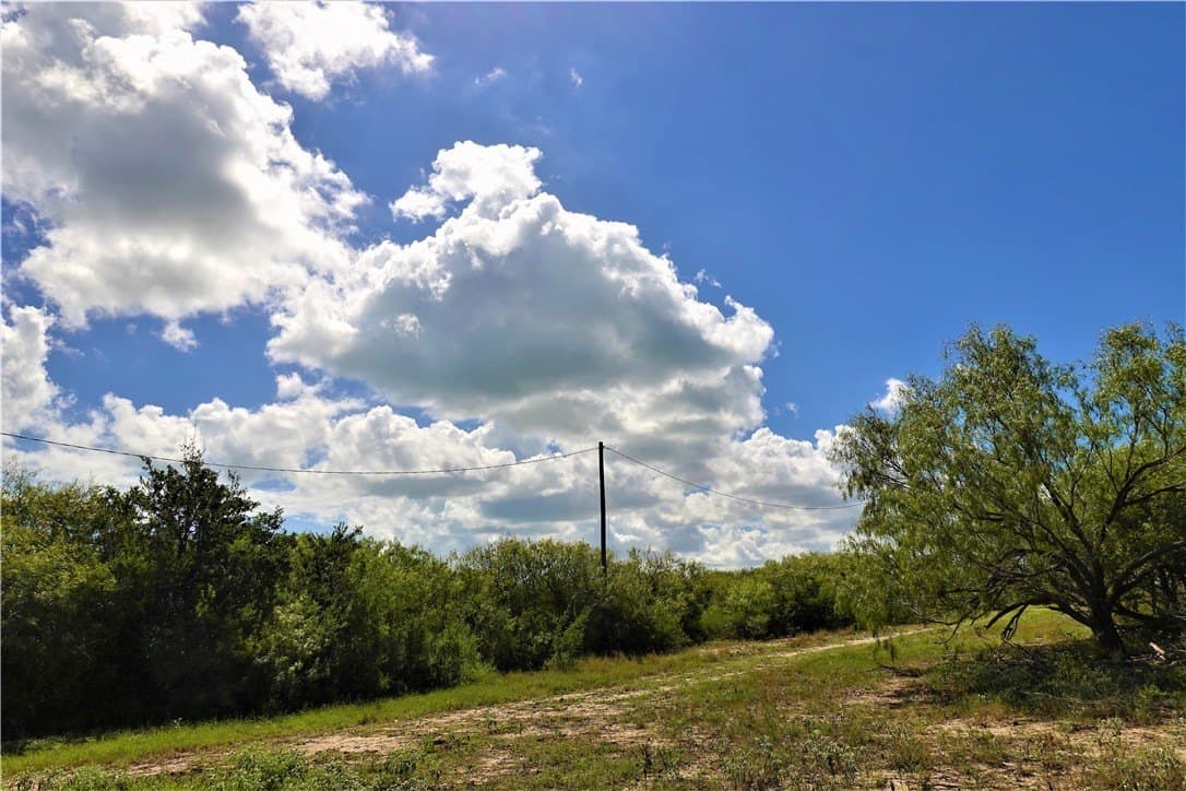 29.99 acres in San Patricio County - photo 22