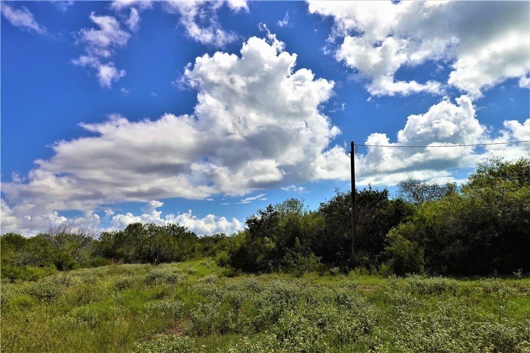 29.99 acres in San Patricio County - photo 12