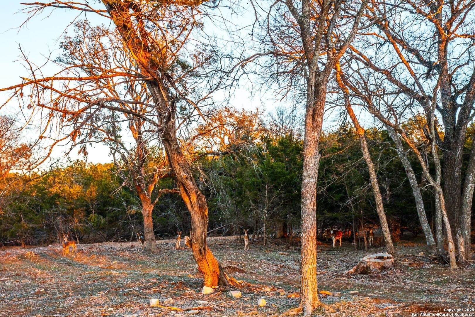10.01 acres in Kendall County - photo 15