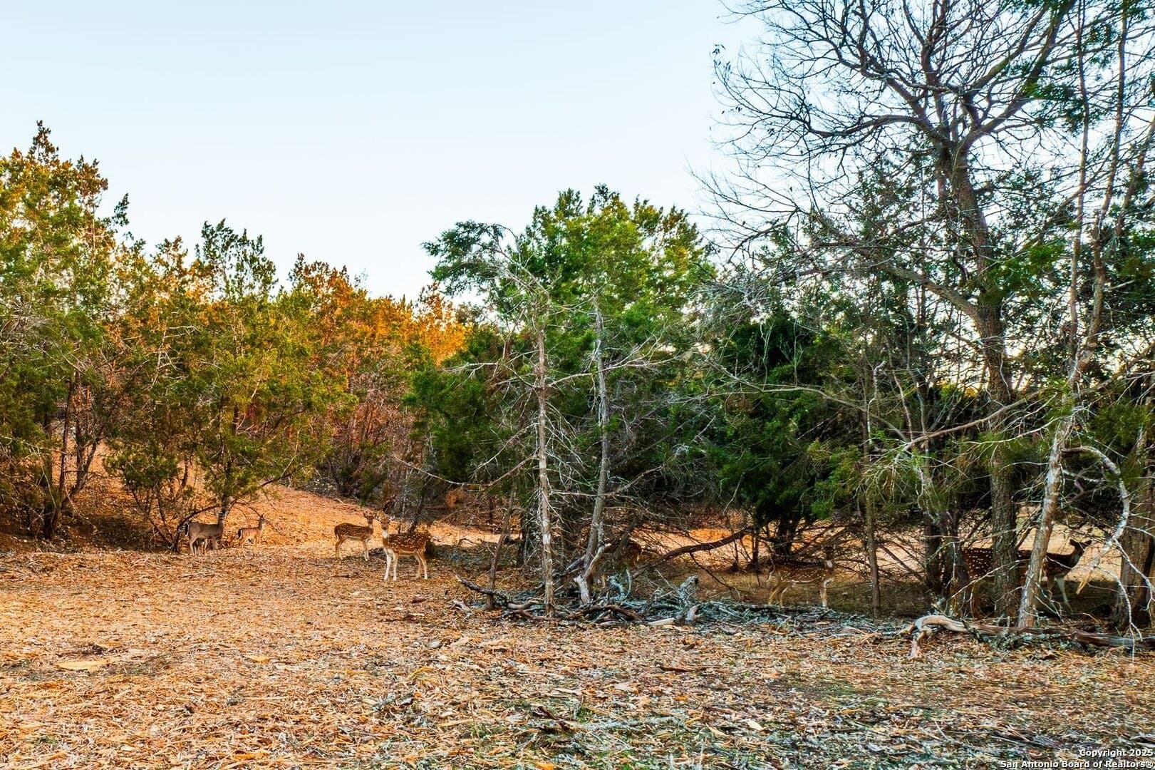 10.01 acres in Kendall County - photo 7