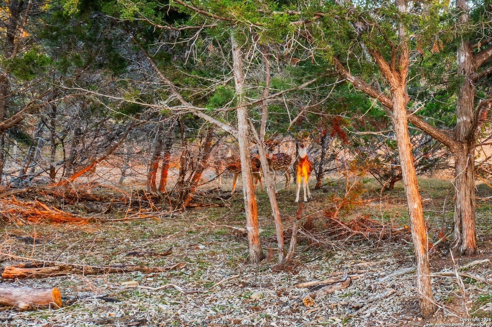 10.01 acres in Kendall County - photo 6