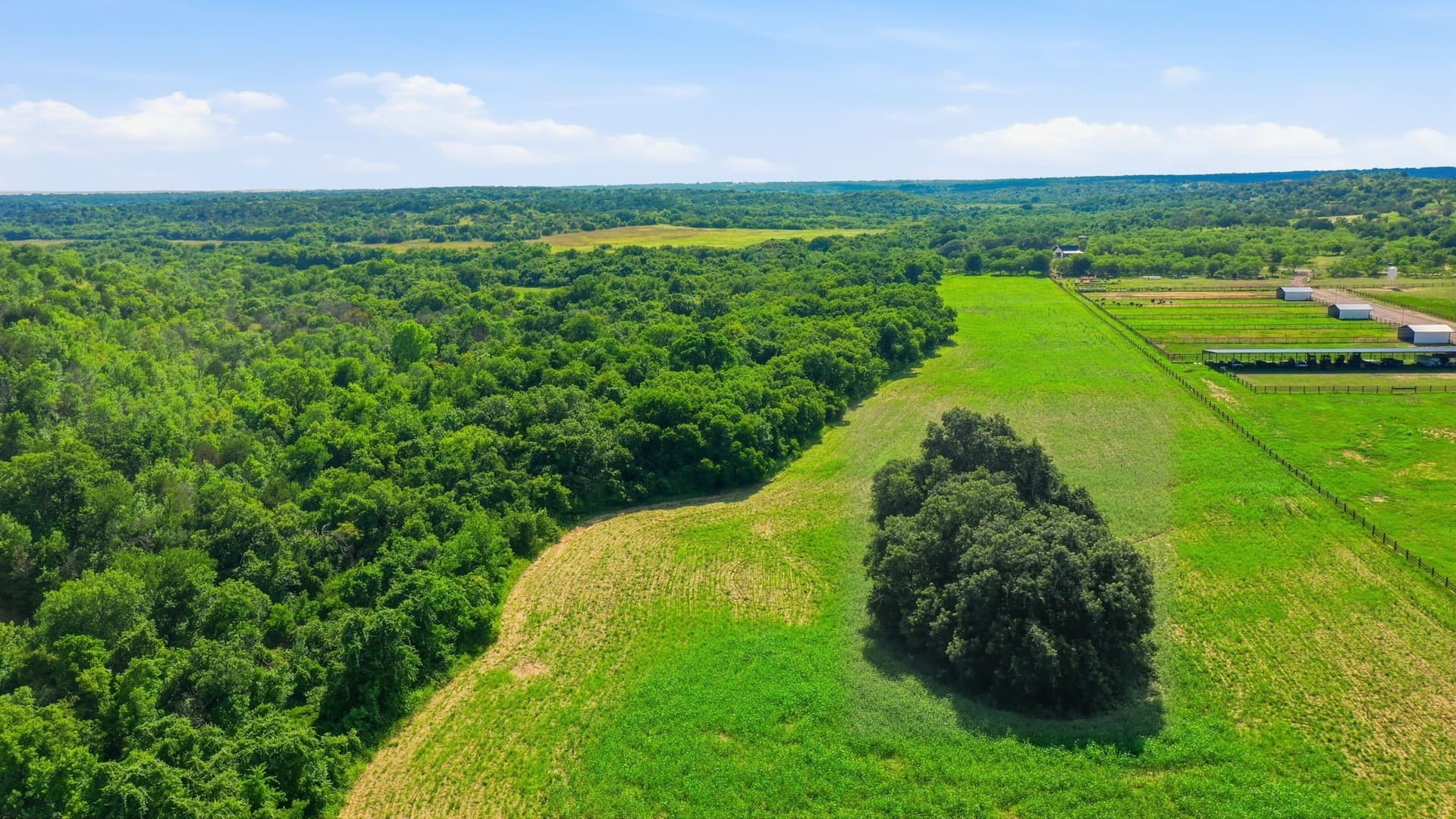 112.73 acres in Erath County - photo 33