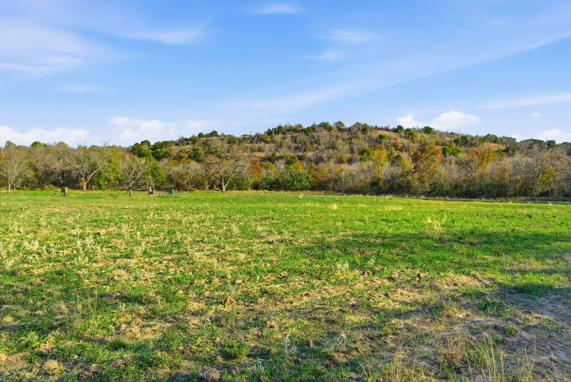 112.73 acres in Erath County gallery image 4