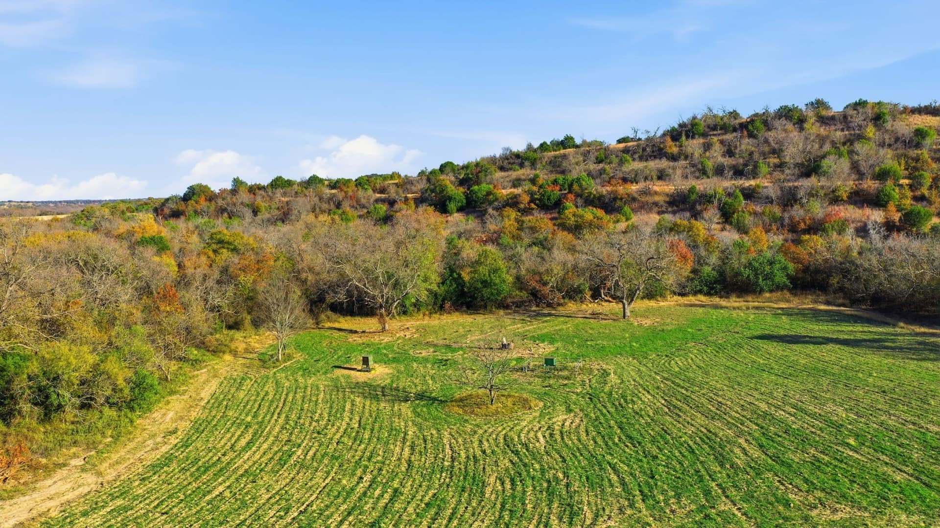 112.73 acres in Erath County - photo 11