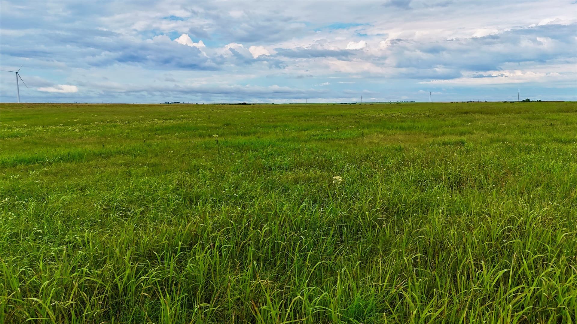 19.64 acres in Cooke County - photo 12