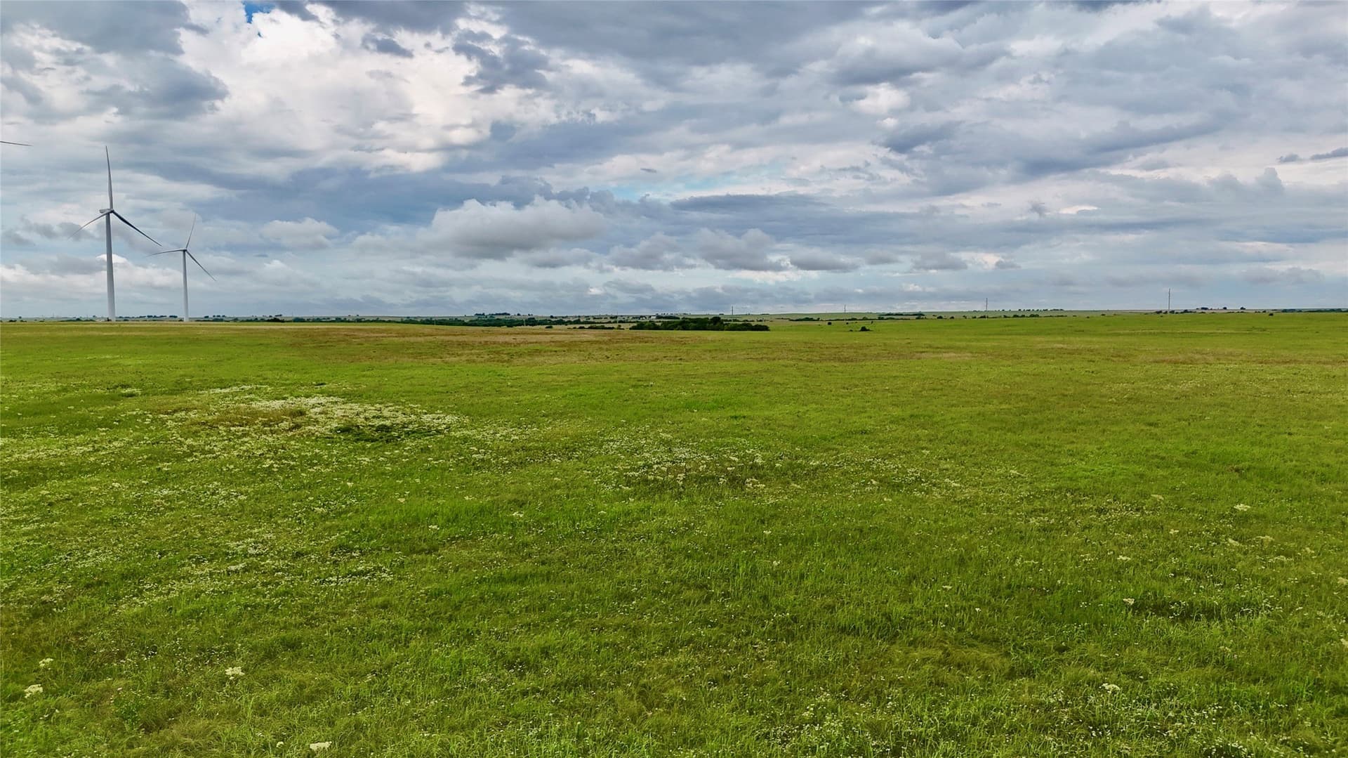 19.64 acres in Cooke County - photo 24