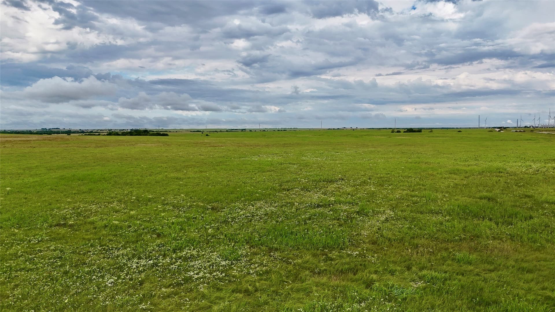 19.64 acres in Cooke County - photo 25