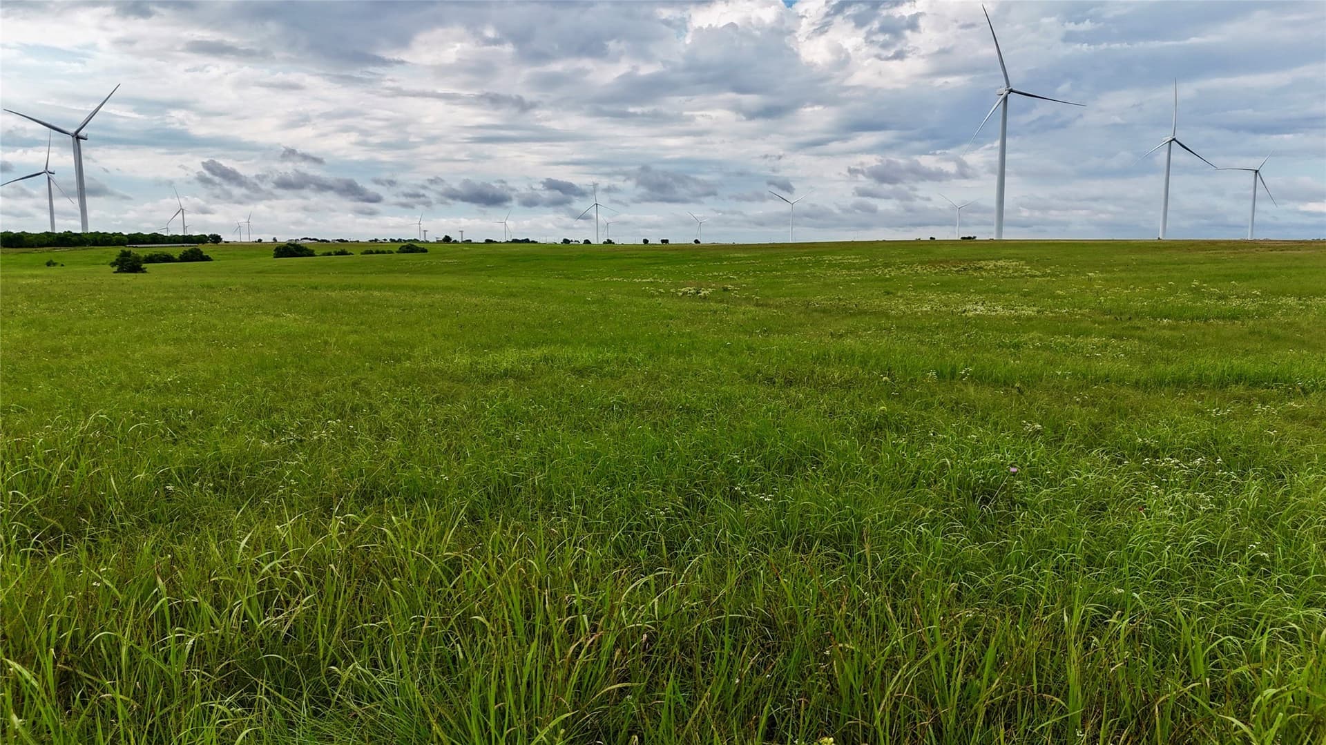 19.64 acres in Cooke County - photo 13