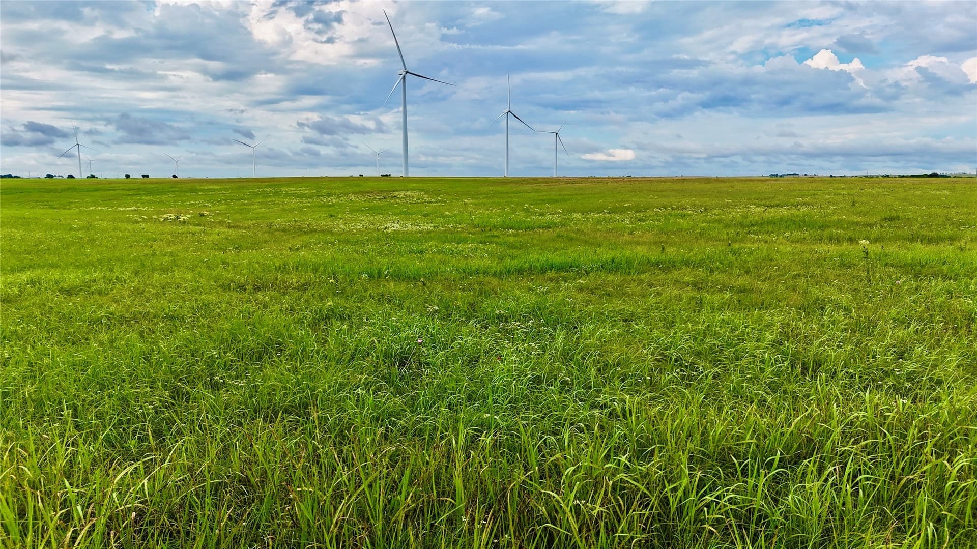 19.64 acres in Cooke County - photo 5