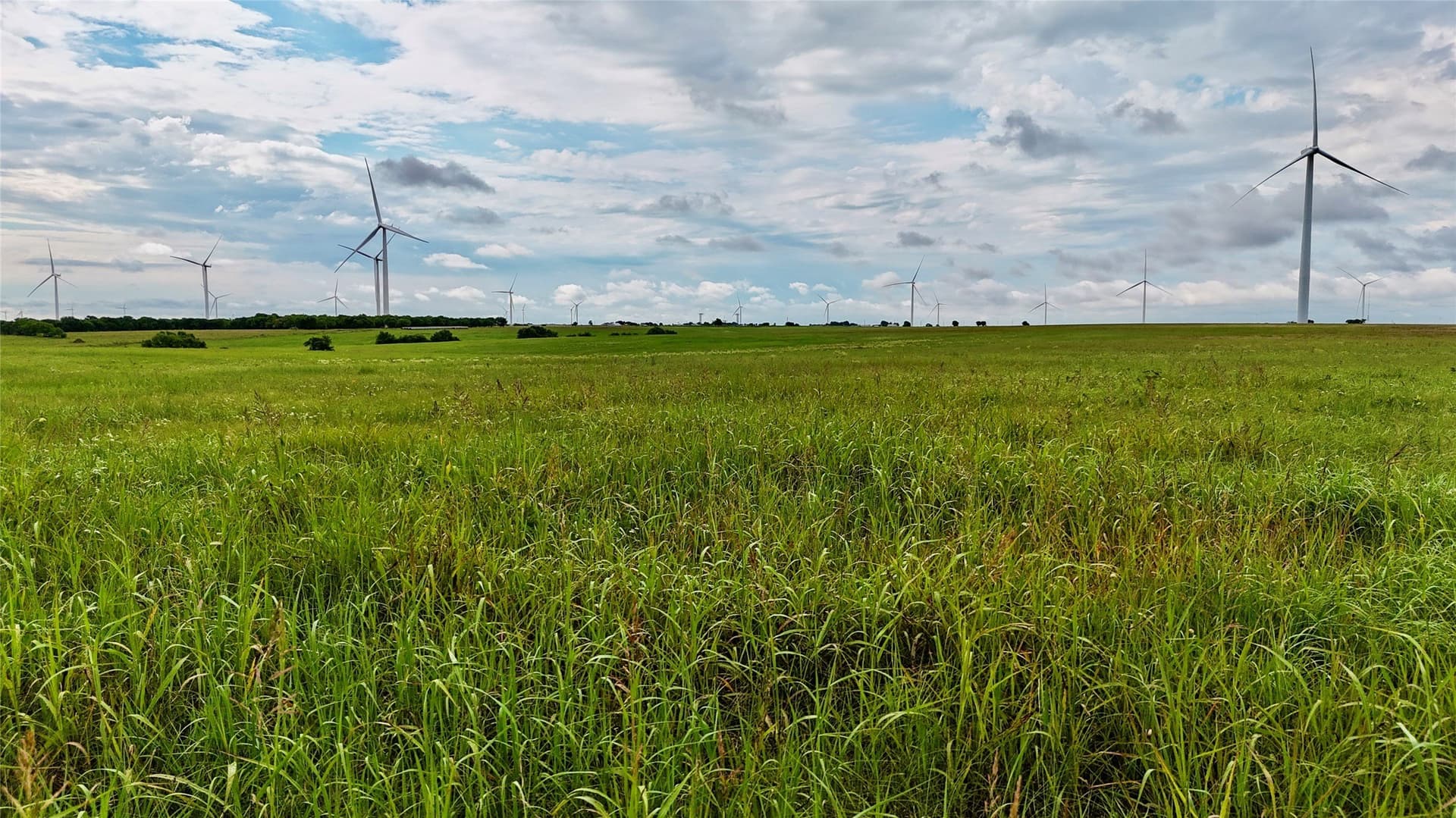 19.64 acres in Cooke County - photo 21