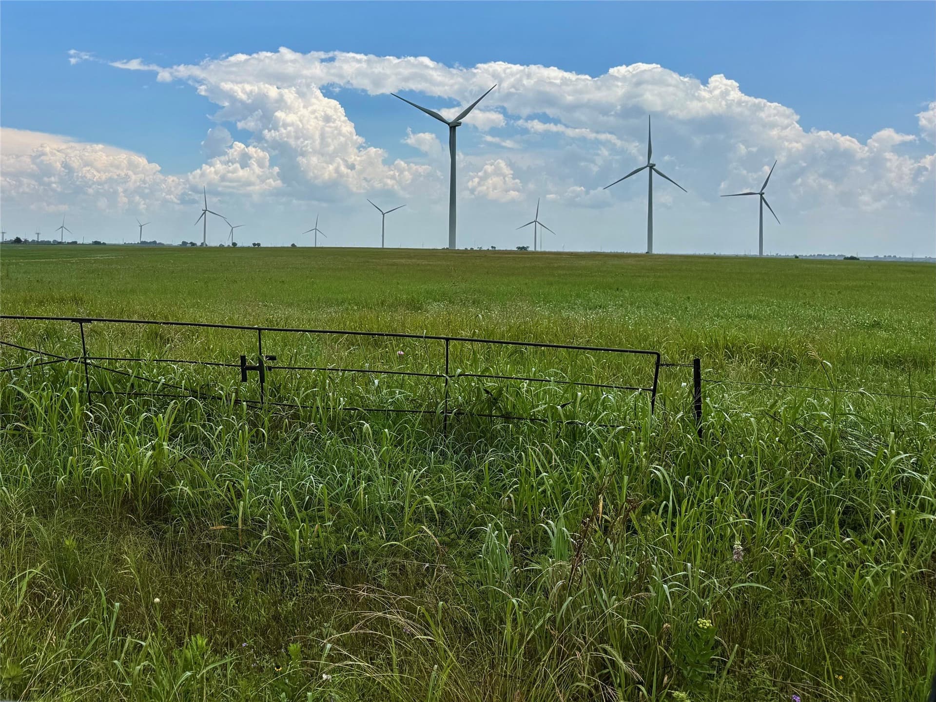 19.64 acres in Cooke County - photo 6