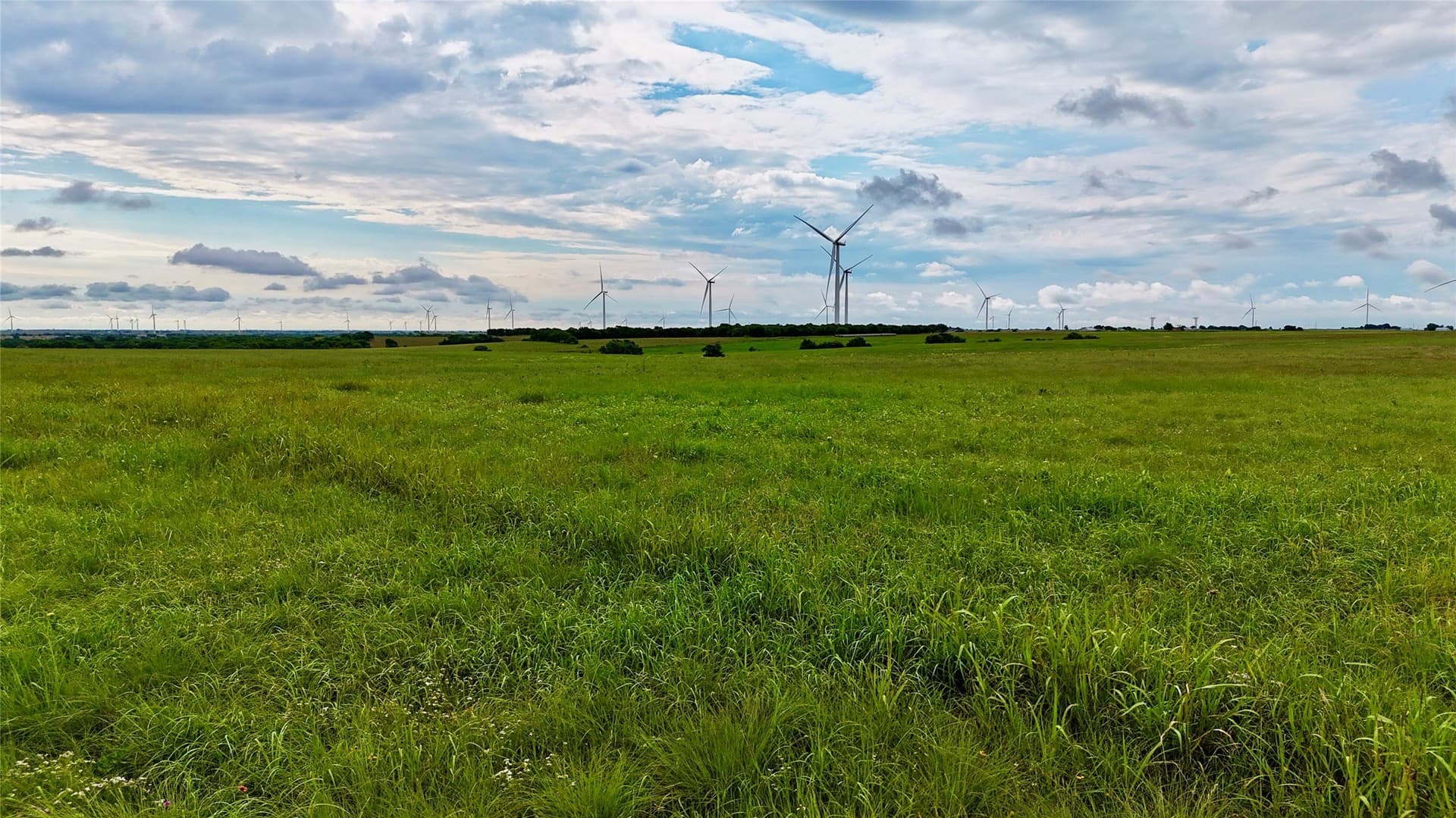 19.64 acres in Cooke County - photo 19