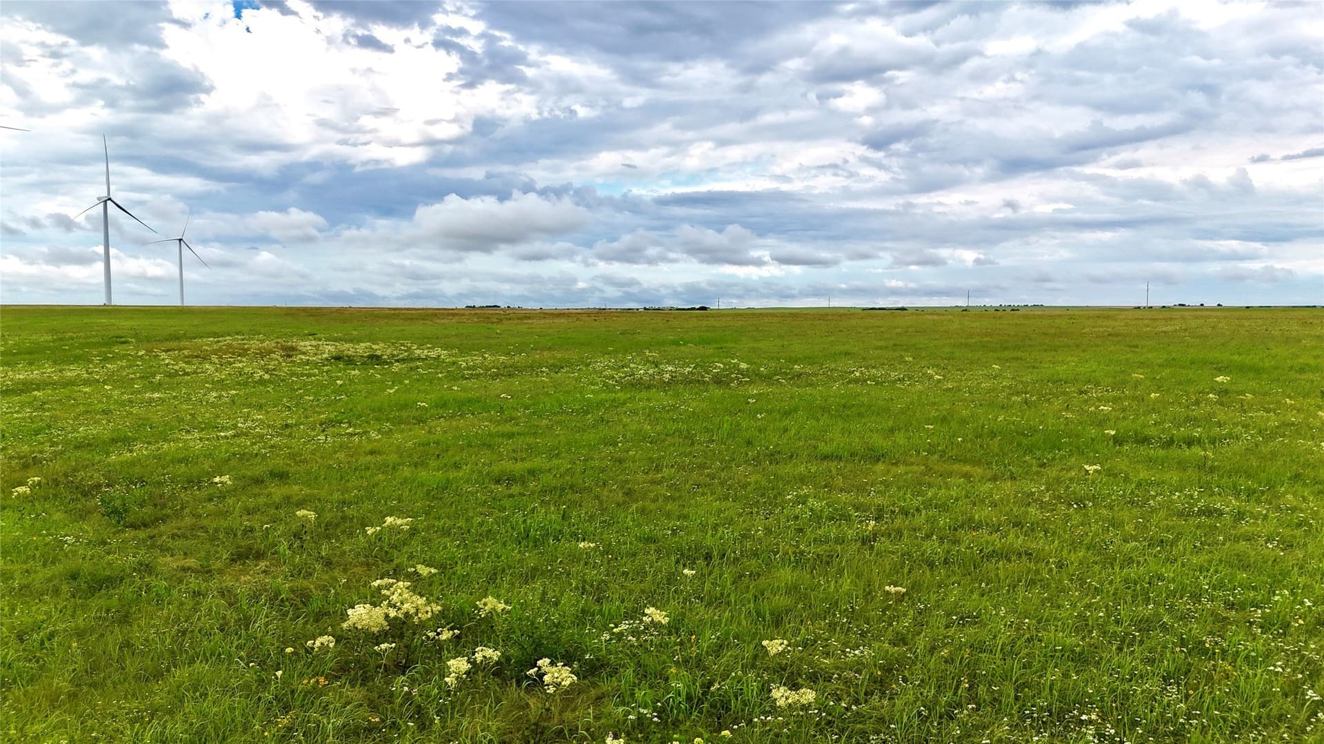 19.64 acres in Cooke County - photo 23