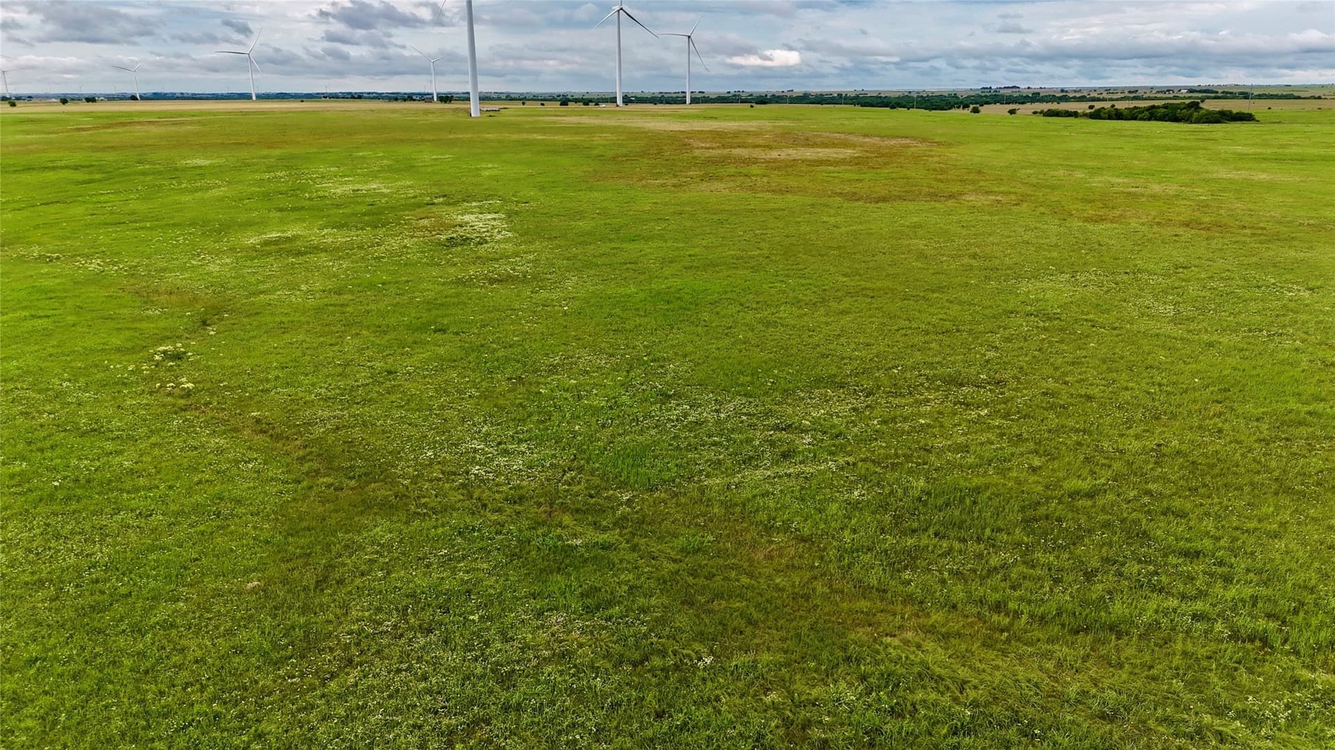 19.64 acres in Cooke County - photo 14