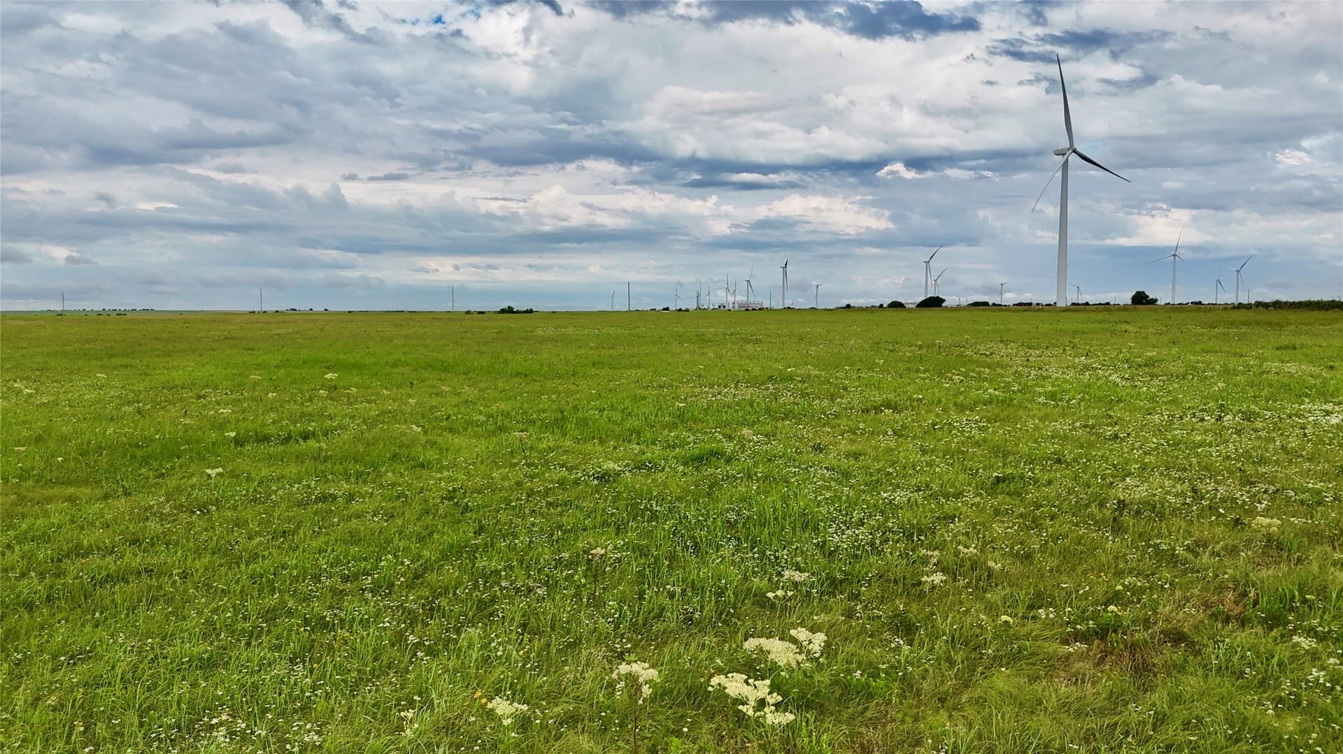 19.64 acres in Cooke County - photo 22