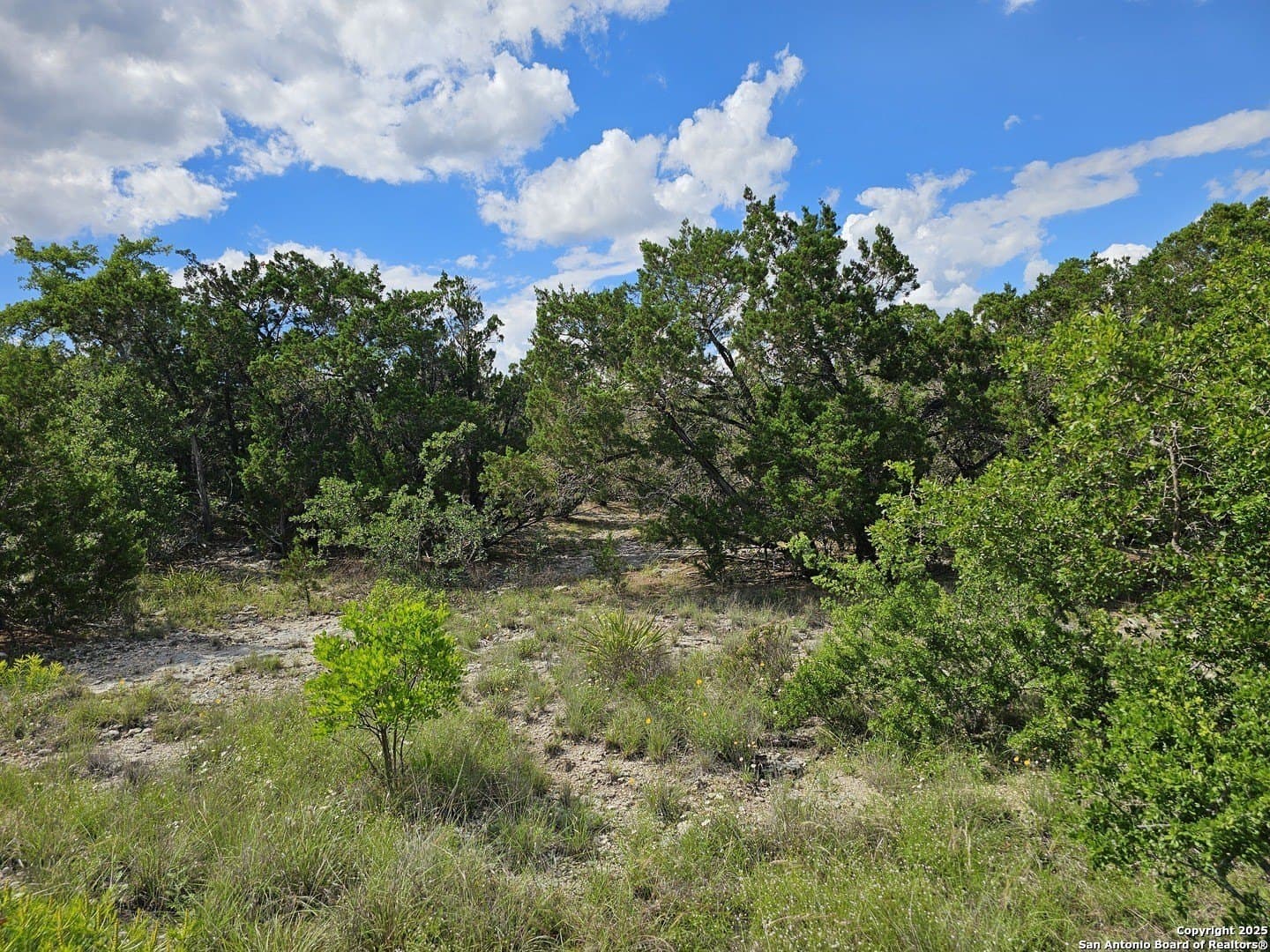 1.98 acres in Medina County - photo 12