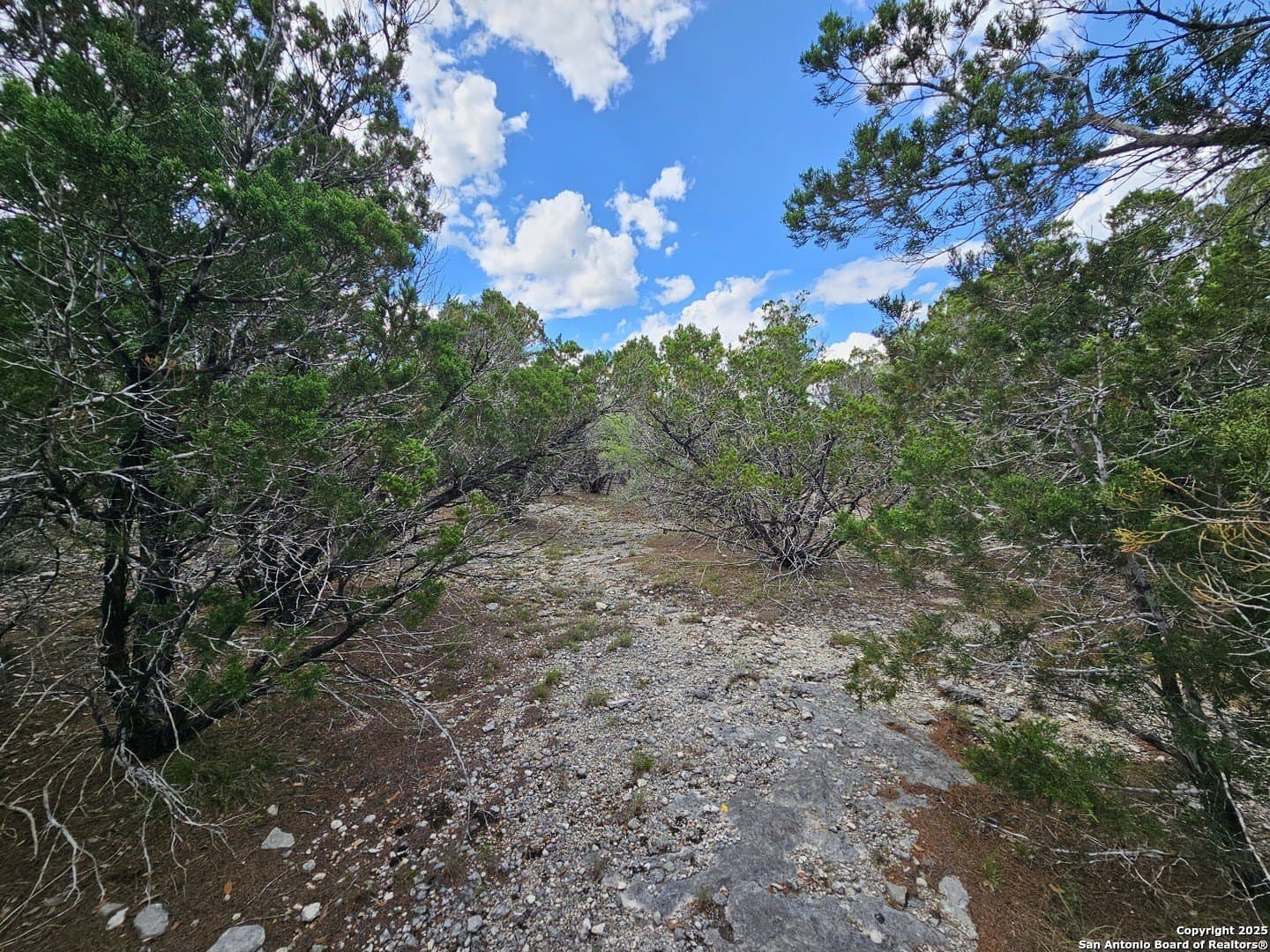1.98 acres in Medina County - photo 14
