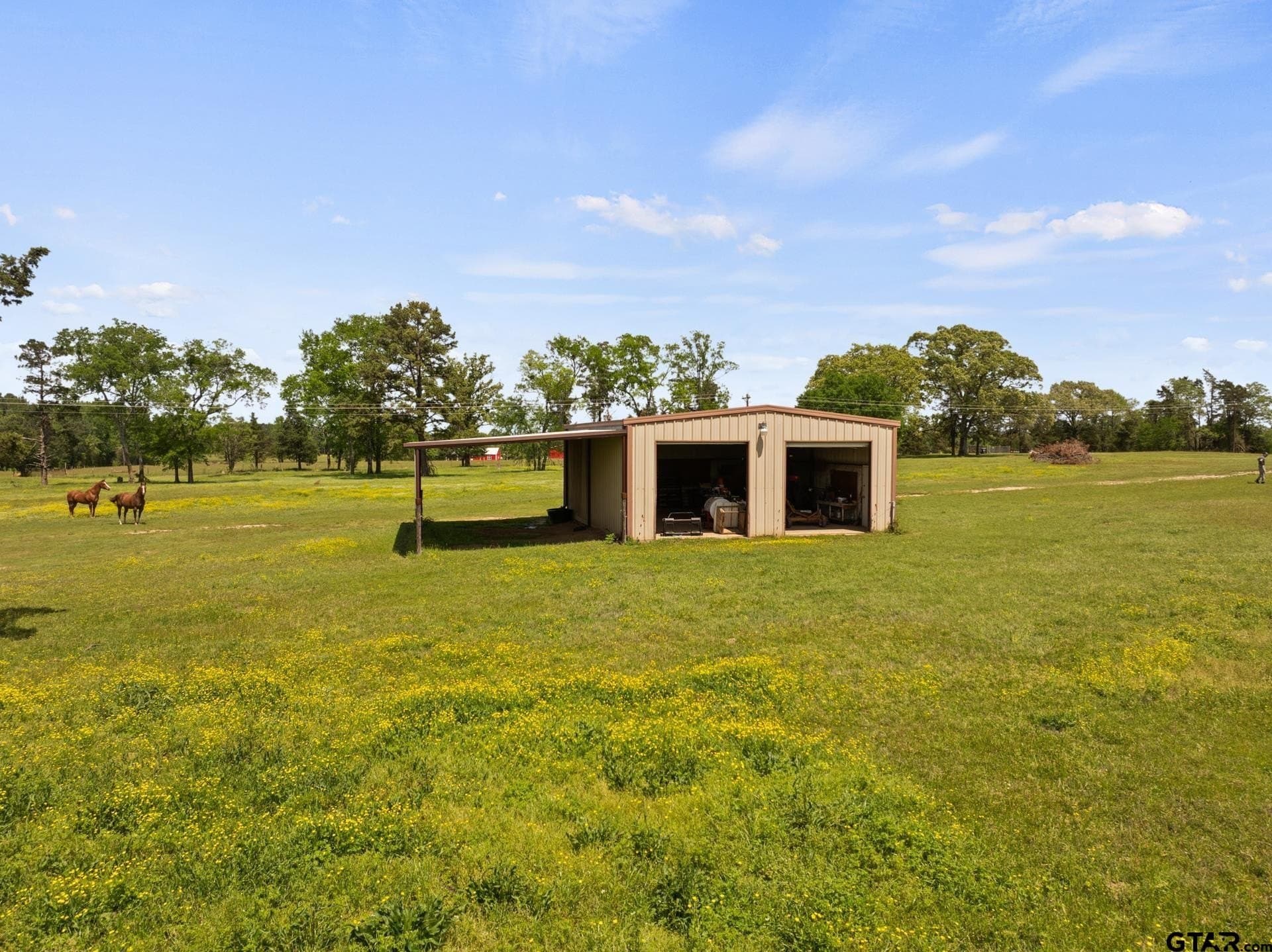 14.09 acres in Titus County gallery image 3