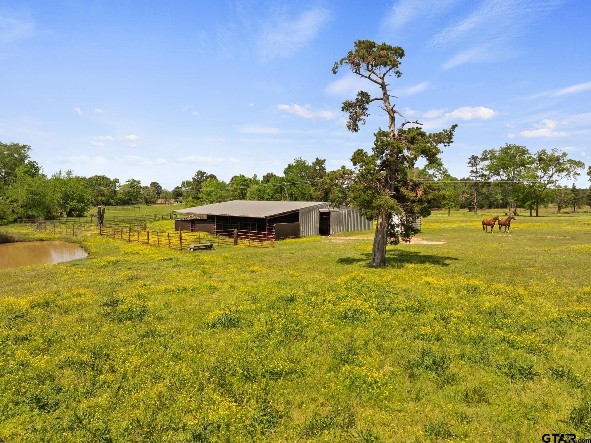 14.09 acres in Titus County gallery image 4