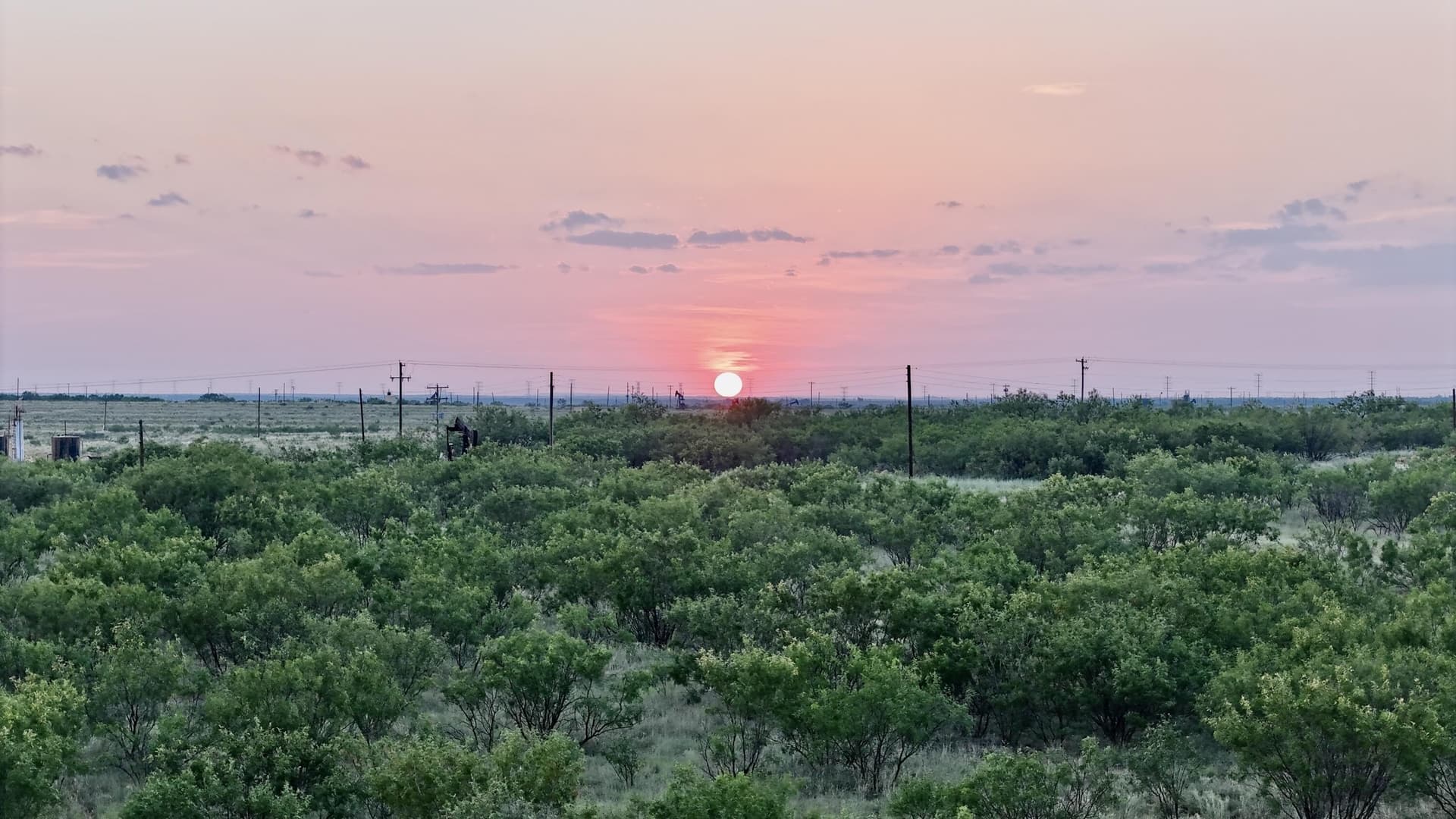 149 acres in Scurry County