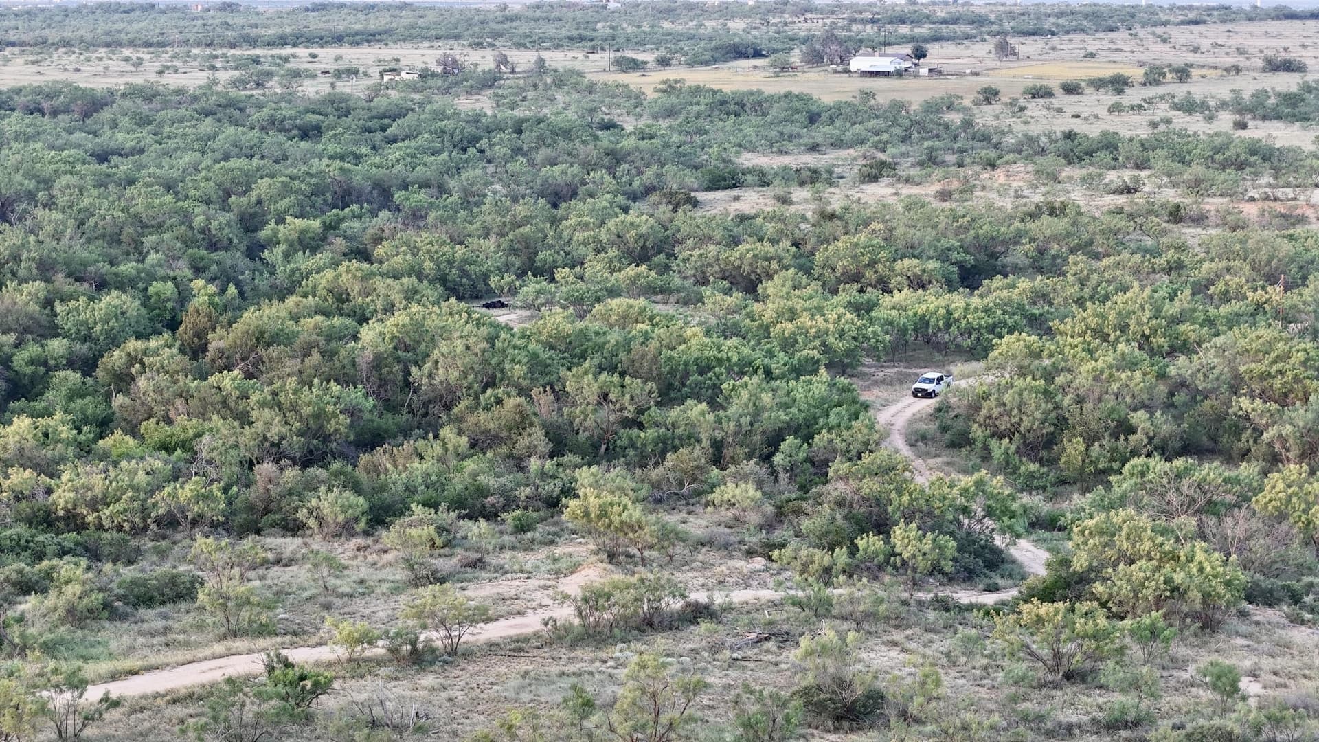 149 acres in Scurry County - photo 8