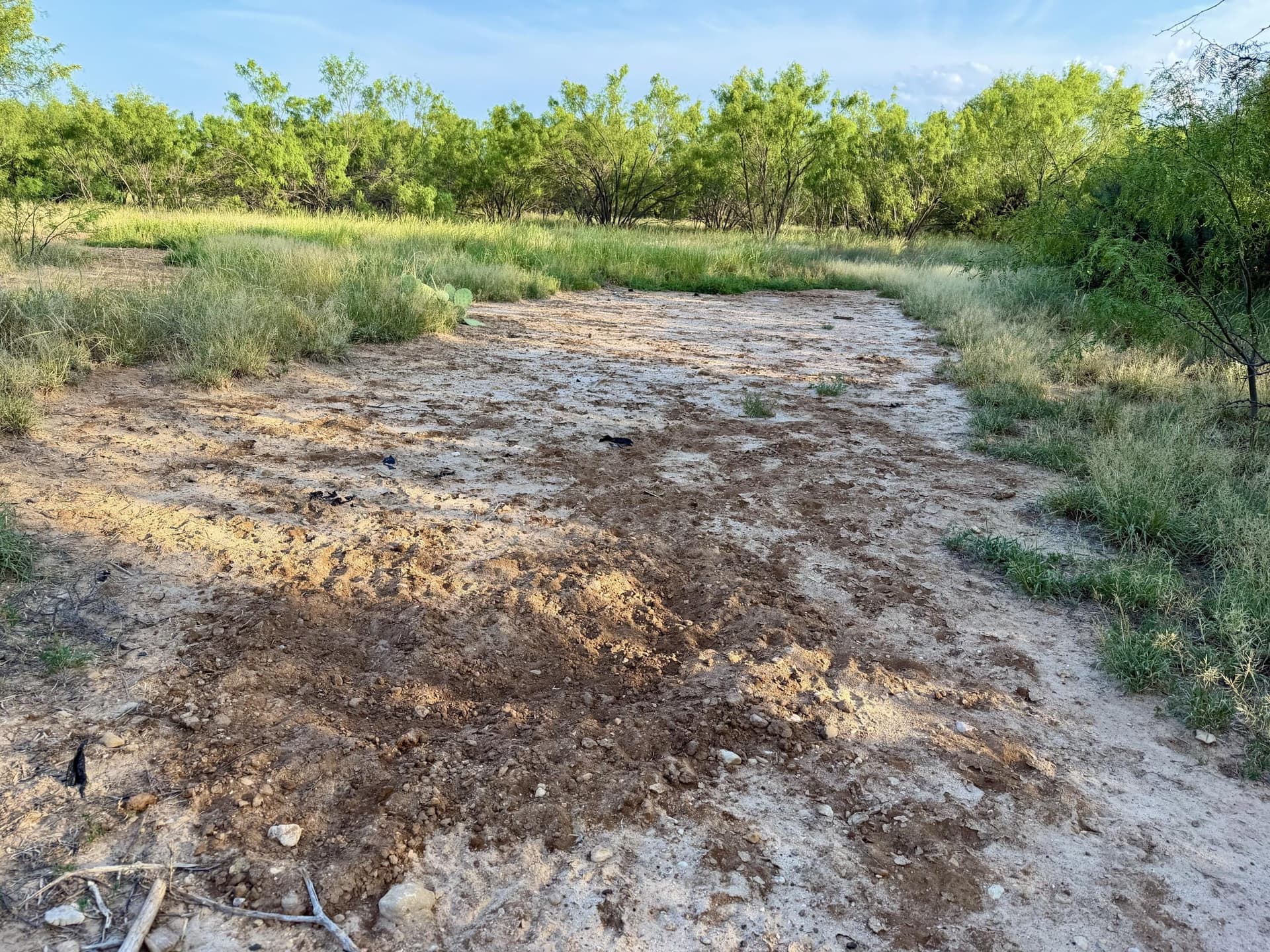149 acres in Scurry County - photo 7