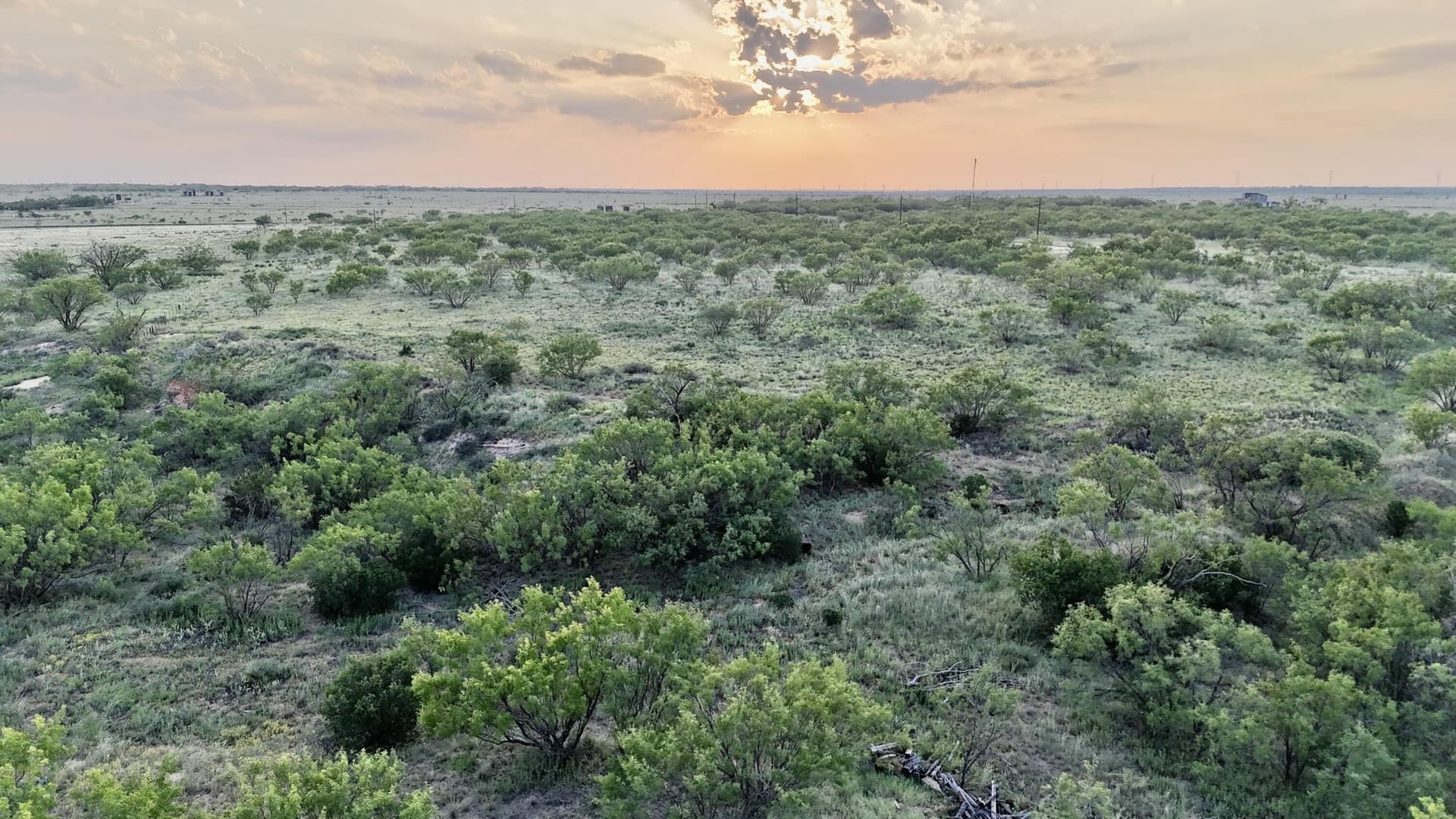 149 acres in Scurry County - photo 14