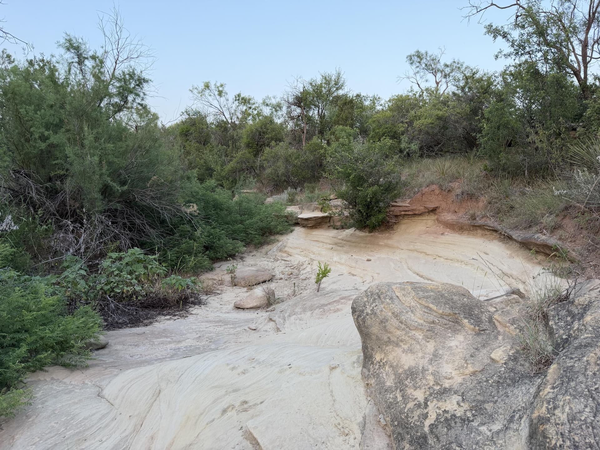 149 acres in Scurry County gallery image 3