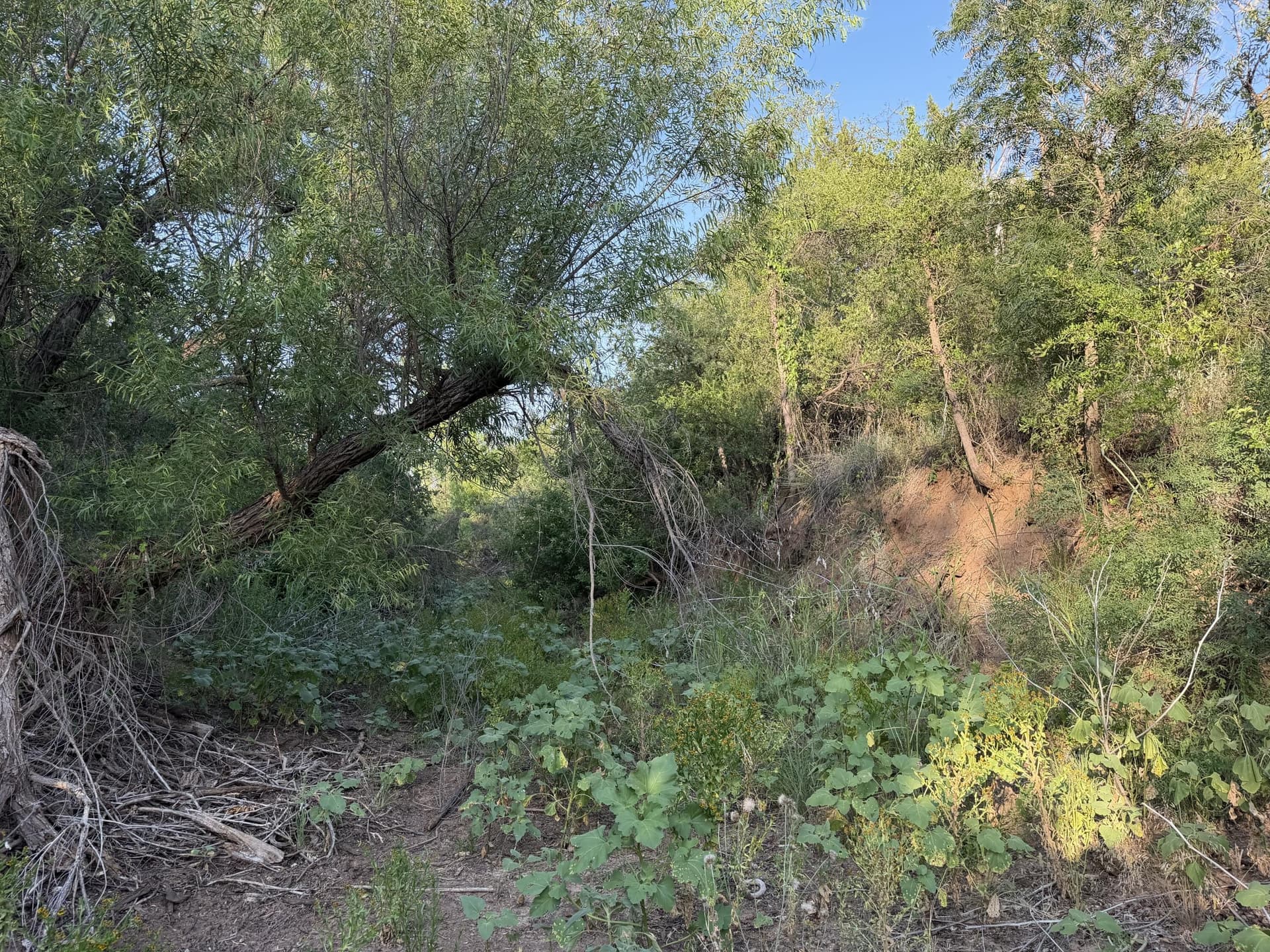 149 acres in Scurry County - photo 13