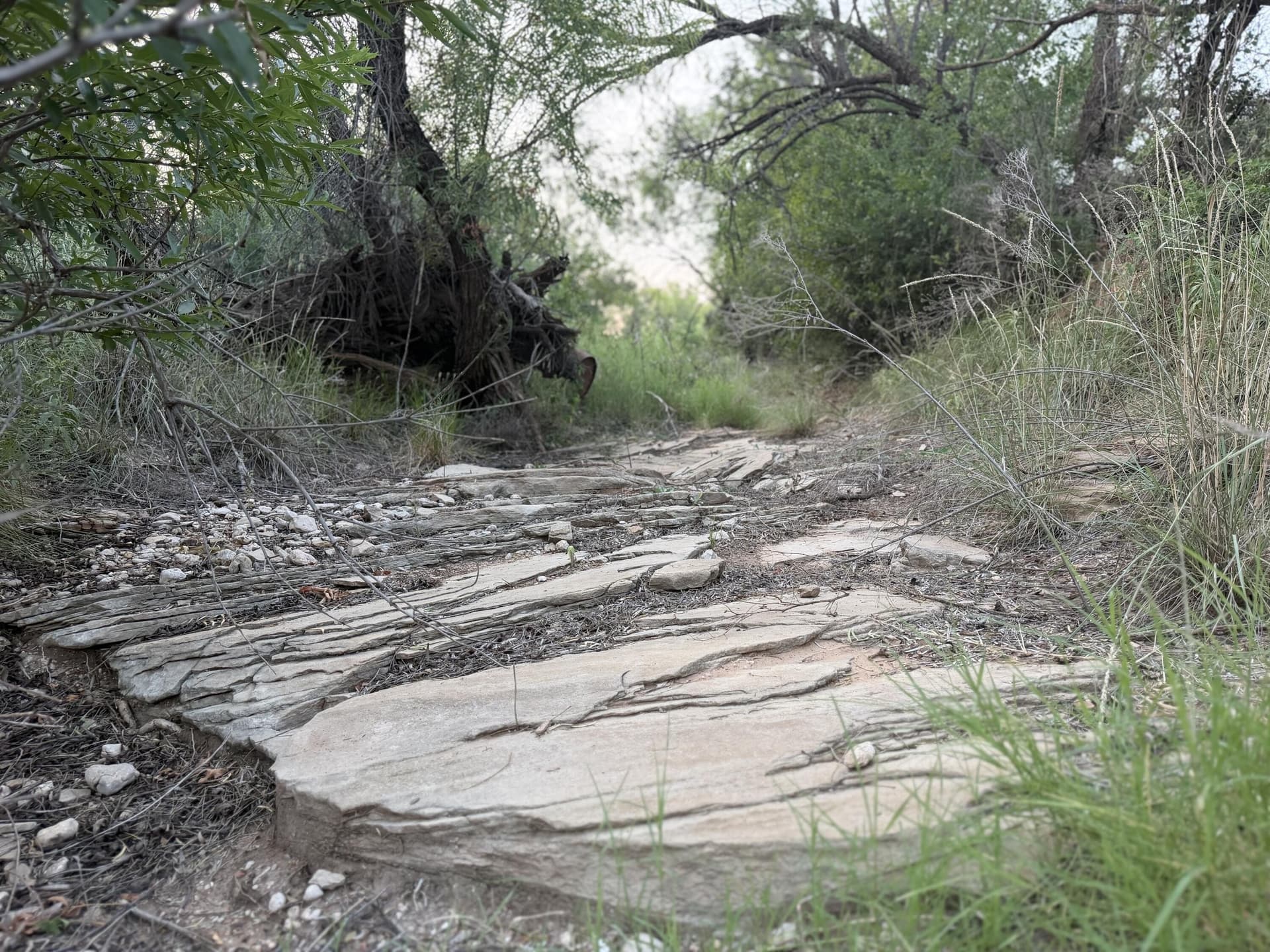 149 acres in Scurry County - photo 33