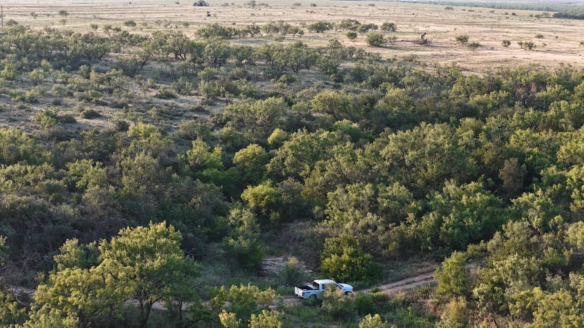 149 acres in Scurry County - photo 12