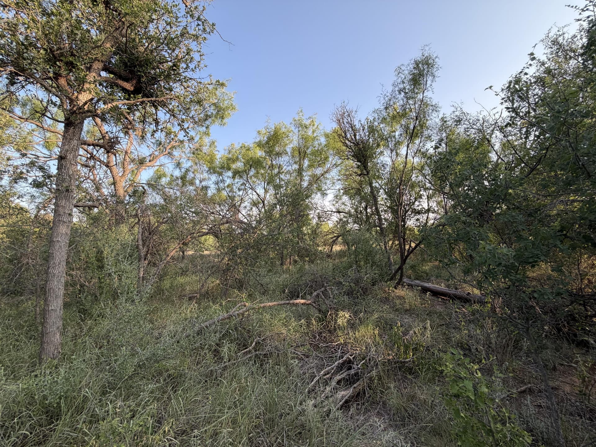 149 acres in Scurry County - photo 31