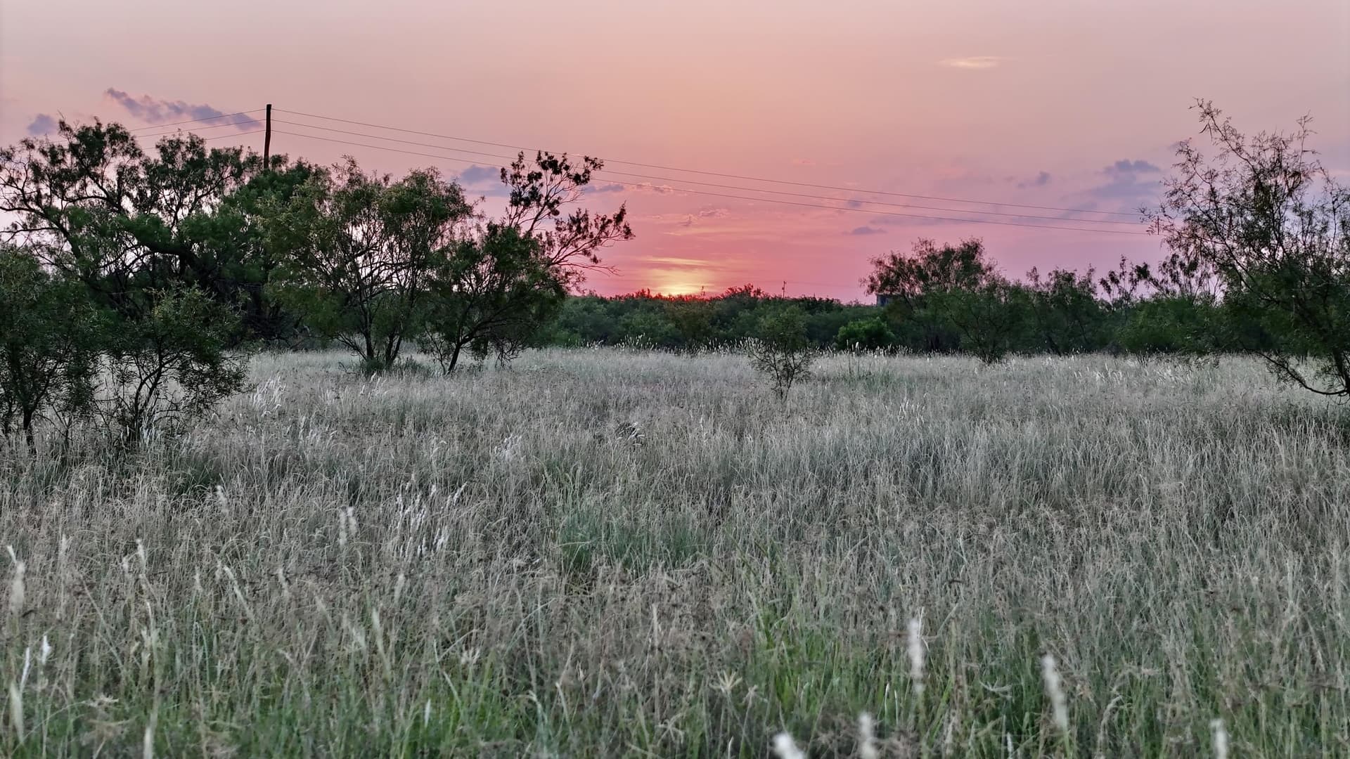 149 acres in Scurry County - photo 23