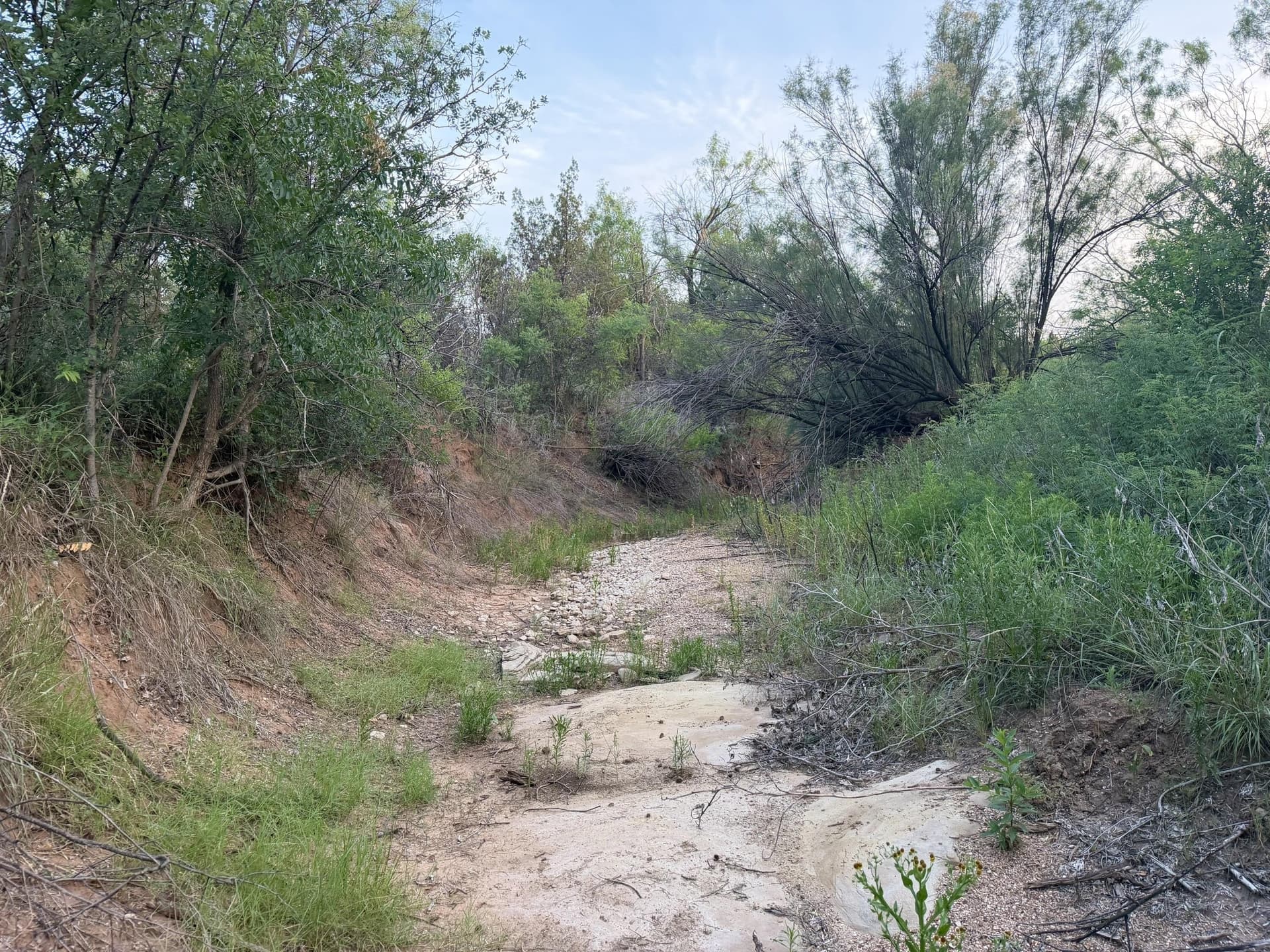 149 acres in Scurry County - photo 34