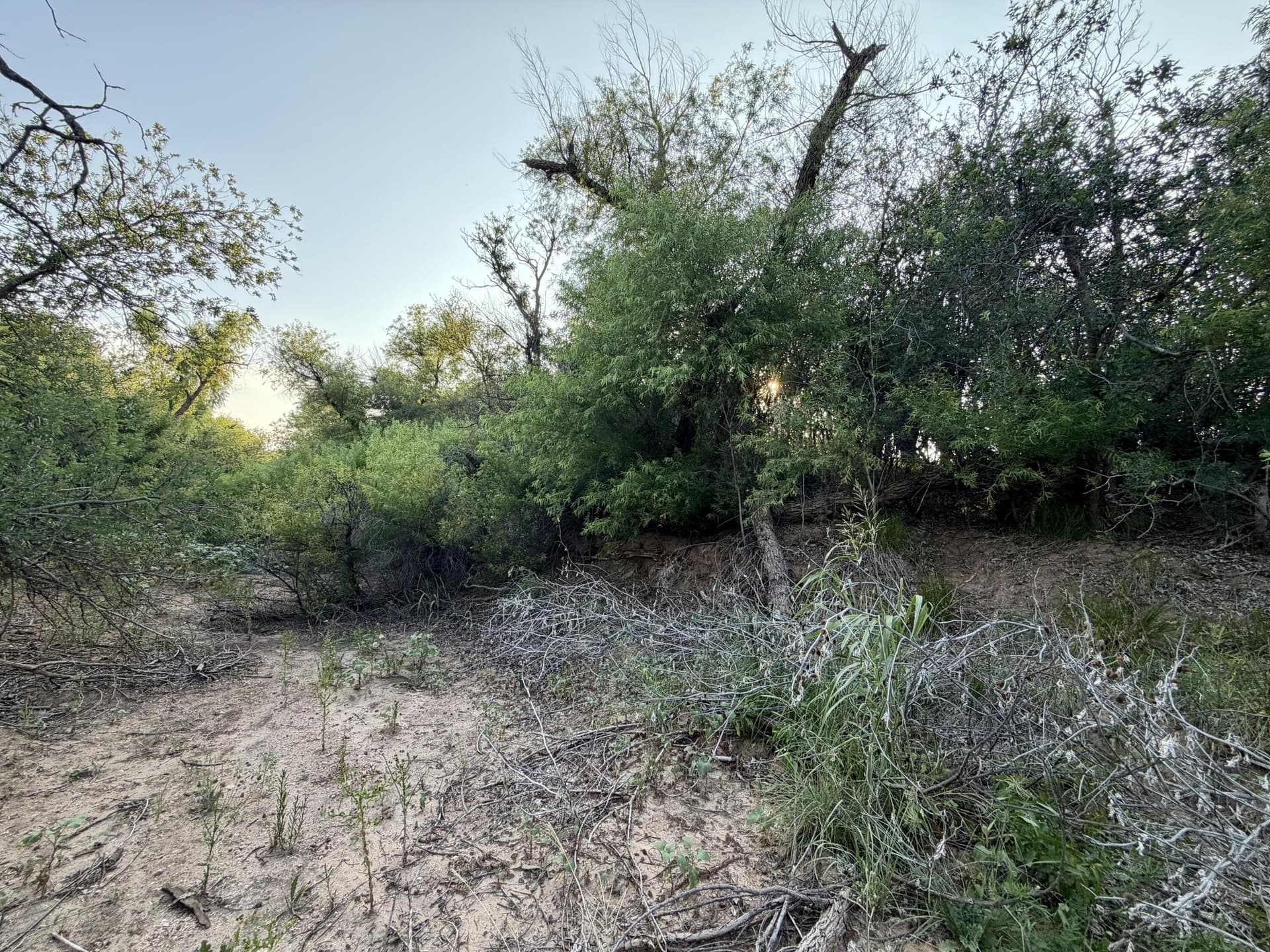149 acres in Scurry County - photo 35