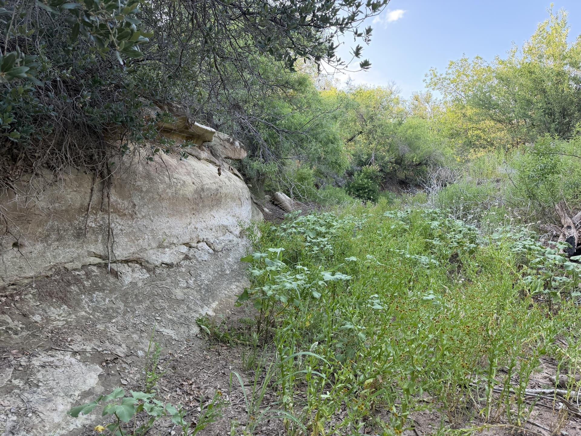 149 acres in Scurry County - photo 27