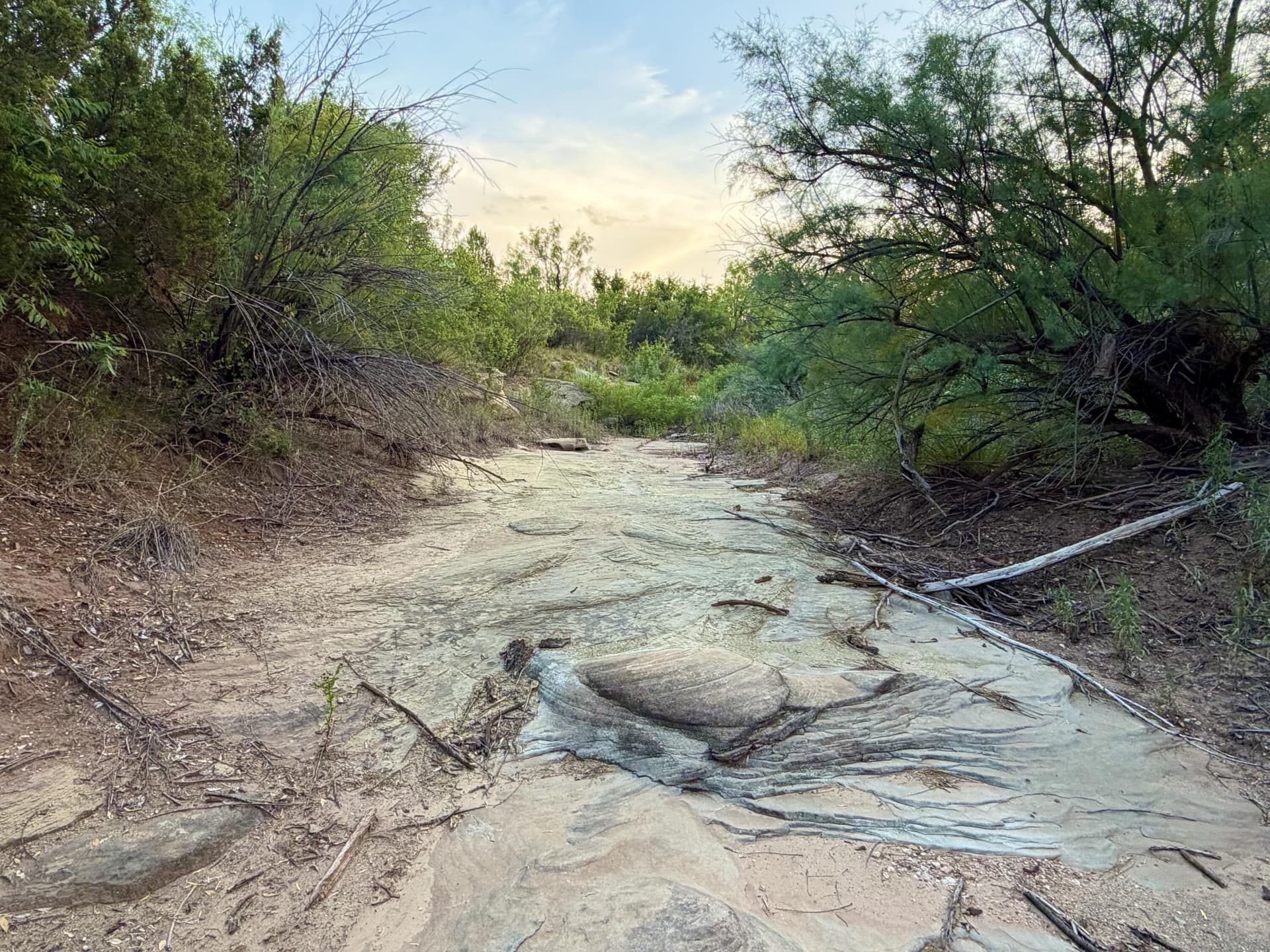 149 acres in Scurry County gallery image 4