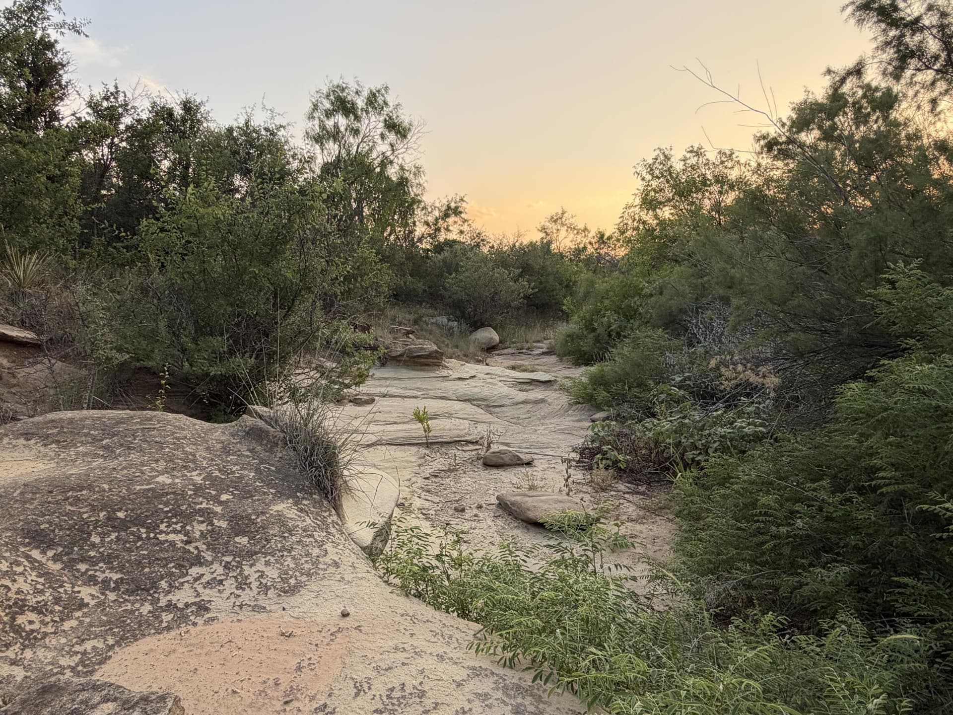 149 acres in Scurry County - photo 26