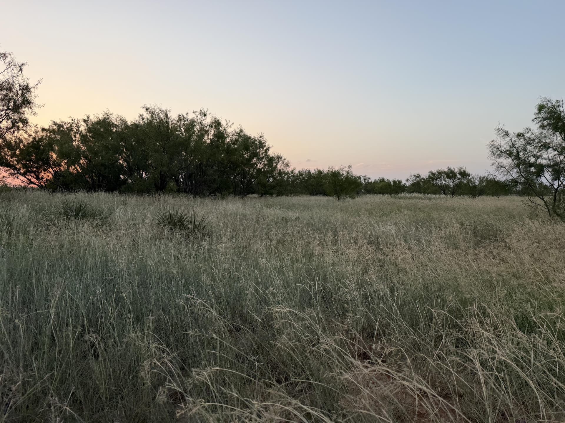 149 acres in Scurry County - photo 36