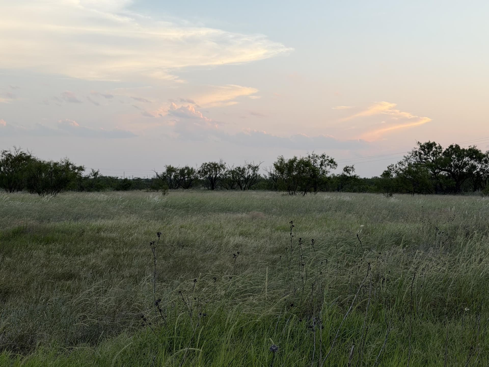 149 acres in Scurry County - photo 10