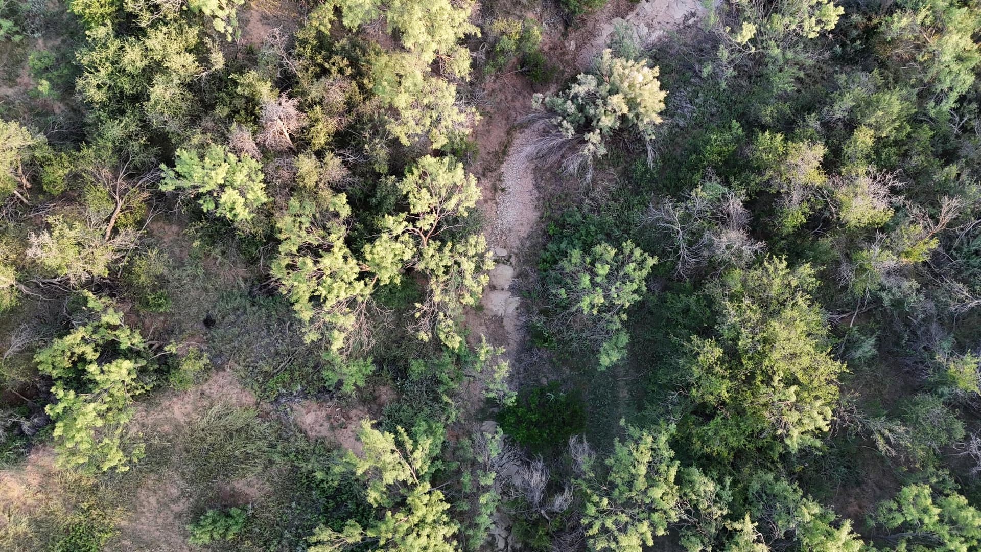 149 acres in Scurry County - photo 32